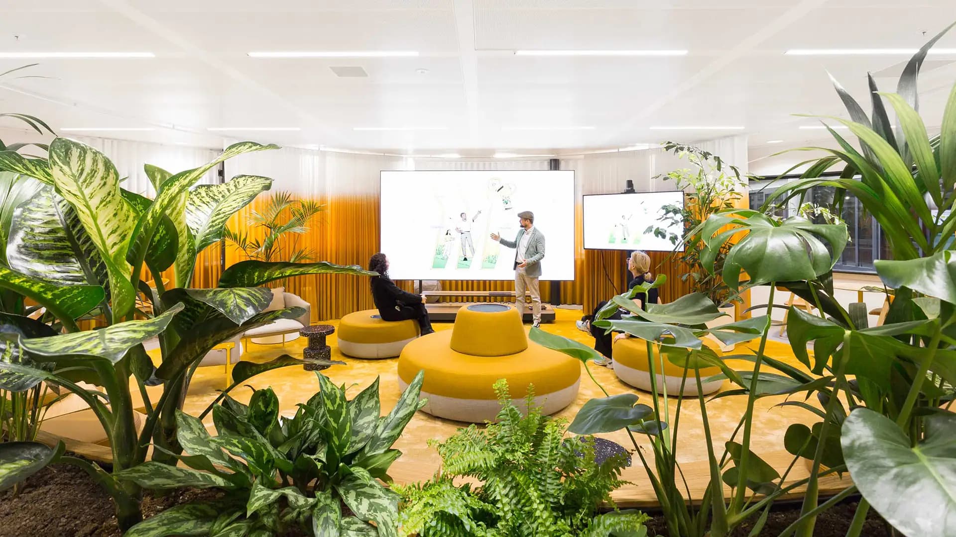 MIRO x Zenber Architecten