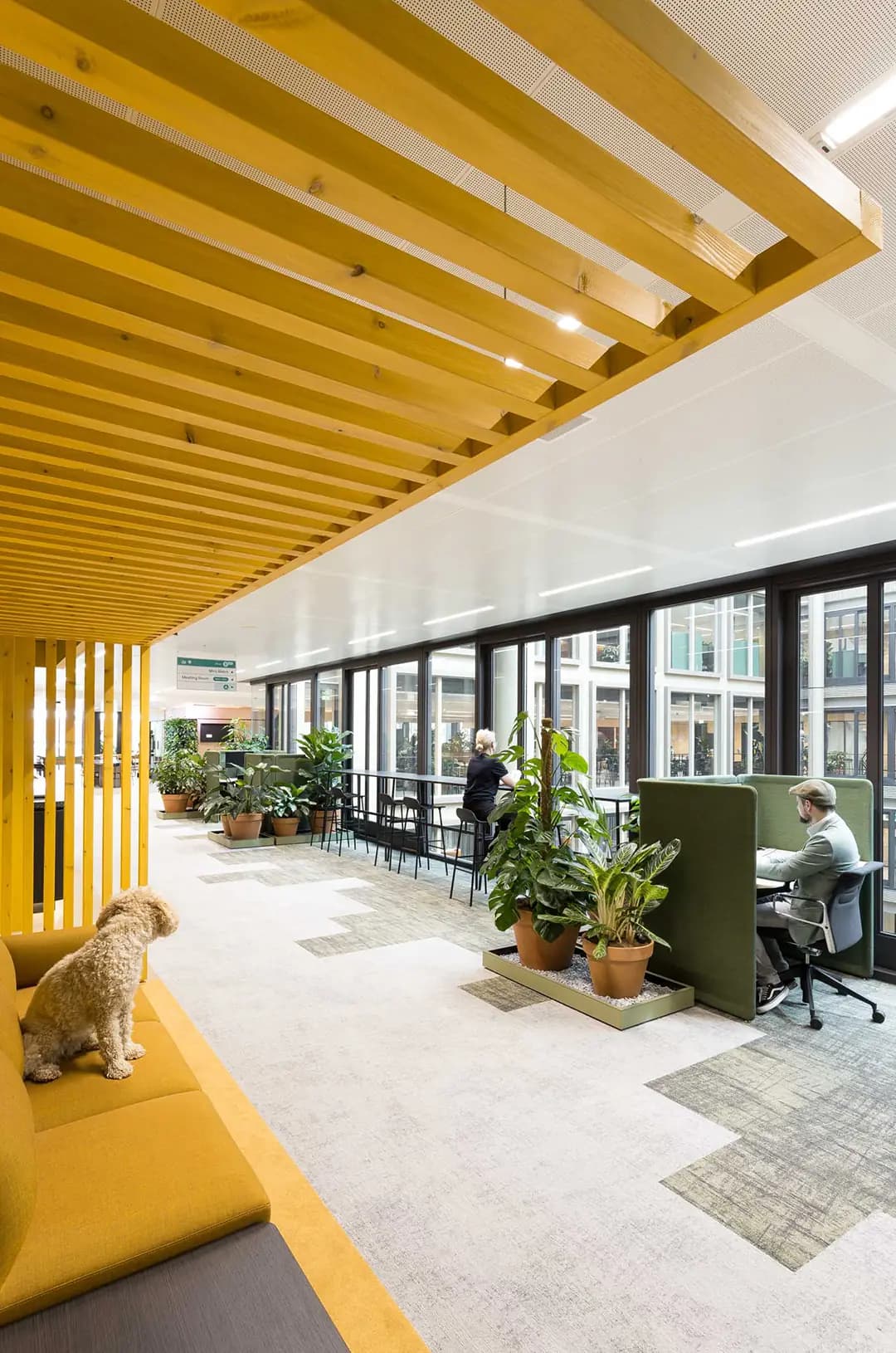 MIRO x Zenber Architecten